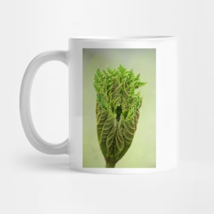 Triffids in the spring ! Mug